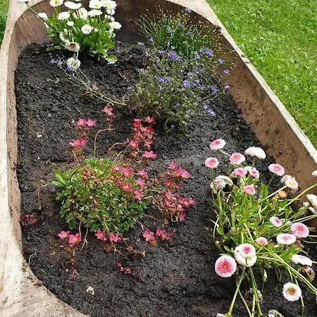 Tatil Evi Domcek U Ferka