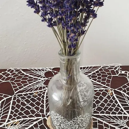 Domcek U Ferka Holiday home Dedinky