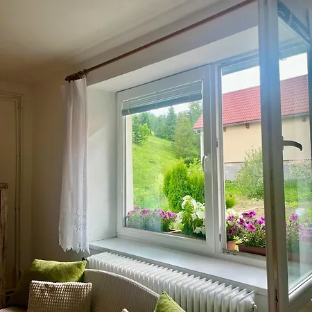 Domcek U Ferka Dedinky